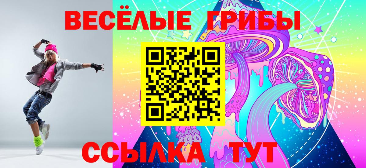 Грязи  купить наркотик  Вход с VPN  Галлюциногенные грибы Psilocybe 